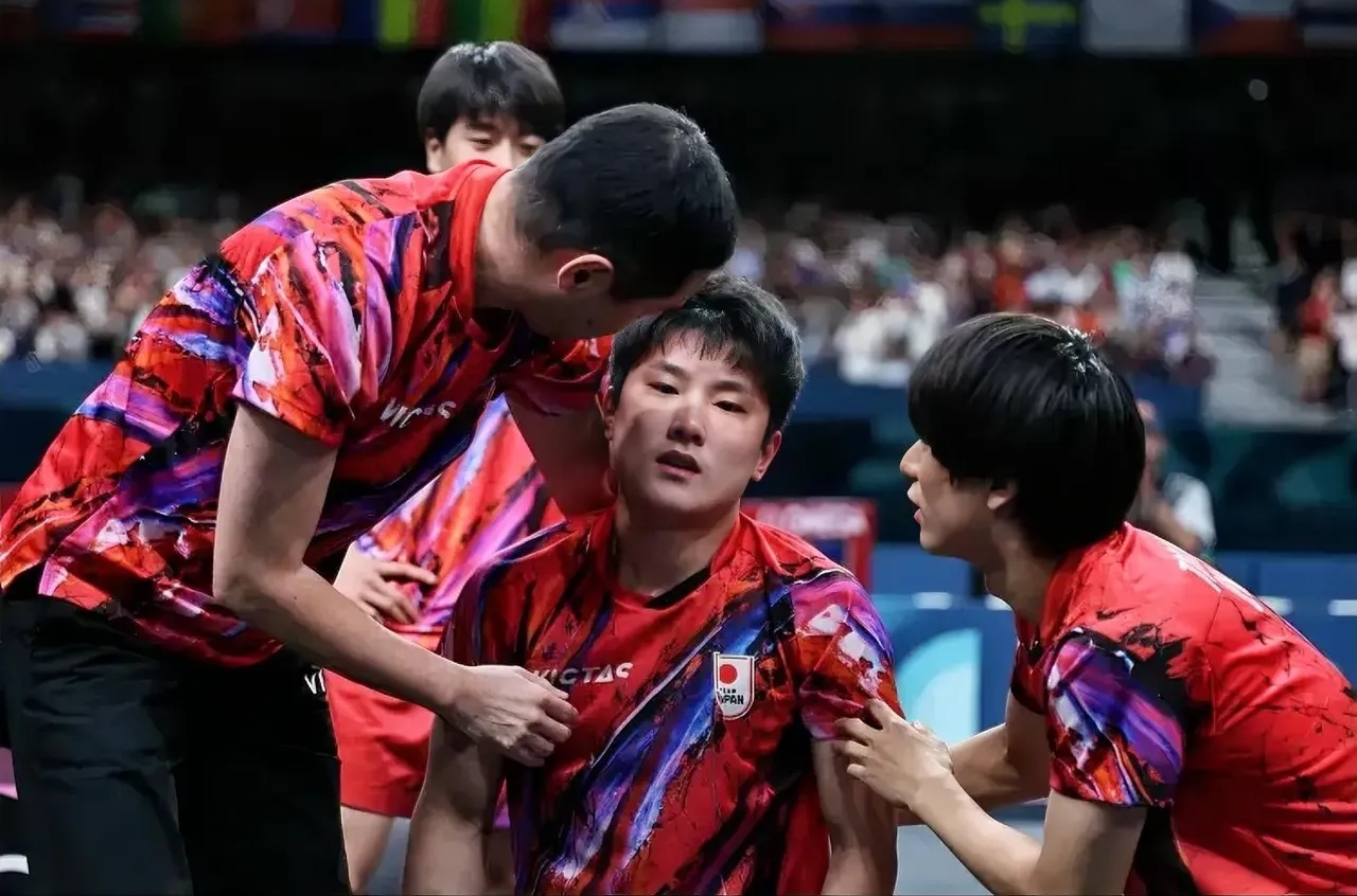 波兰队完胜奥地利队，张本智和高光表现