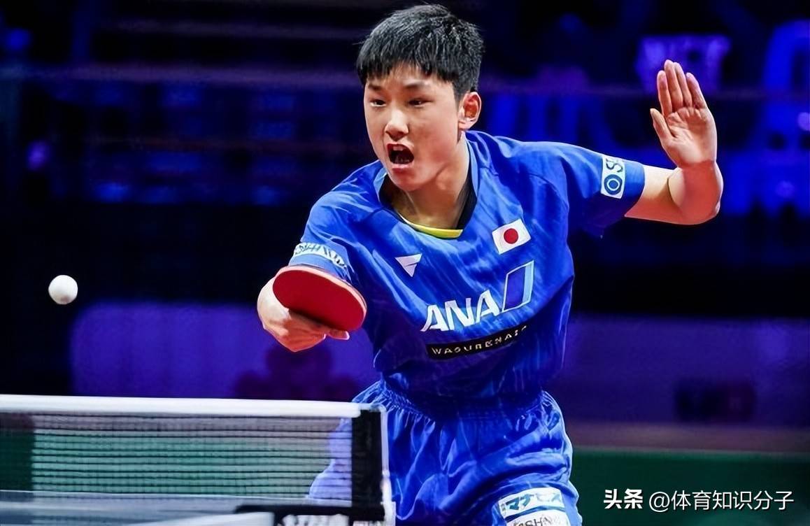 法国队碾压韩国队，张本智和高光表现