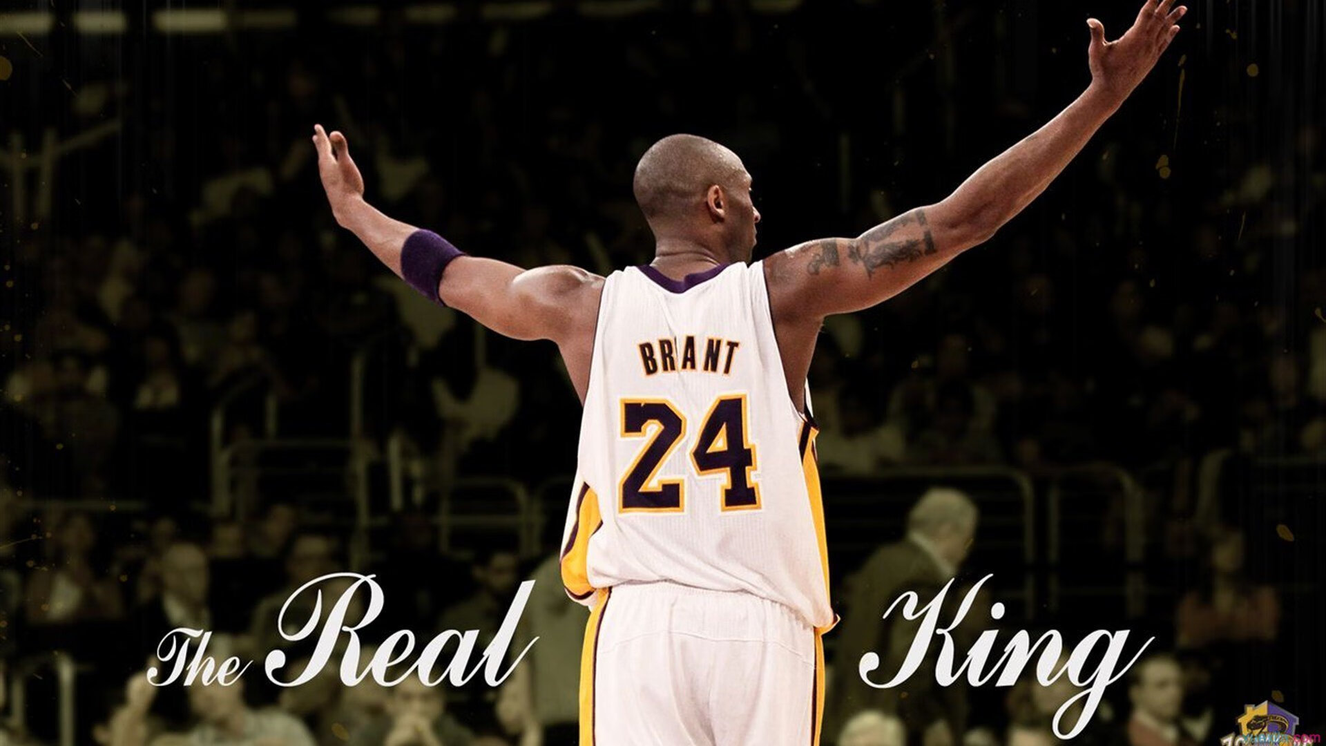 钢铁战车碾碎高卢雄鸡，不老传奇波尔再掀乒乓风暴